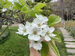-闵行体育公园(七宝镇)