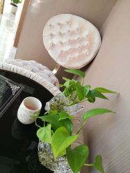 -佐登妮丝美容SPA生活馆