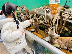-成都欢乐谷