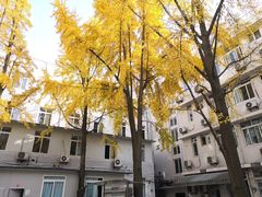 -四川大学华西第四医院