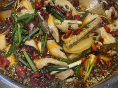 -乡土特色.冷锅鱼.牦牛肉汤锅