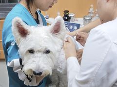 -联合动物医院(光谷诊疗中心)