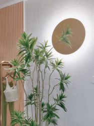 -水沐莲清瑜伽·普拉提