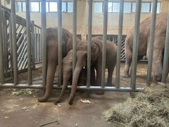 -石家庄市动物园