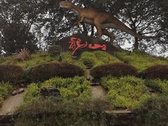 -自贡恐龙博物馆