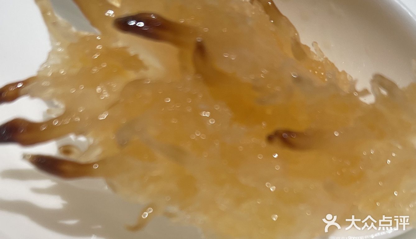 胶原蛋白的沾合力