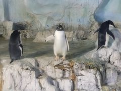 -珠海长隆海洋王国