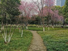 -后襄河公园