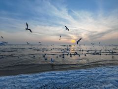 -老虎石海上公园