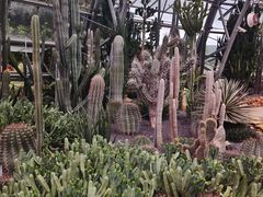 -芽庄珍珠岛游乐园