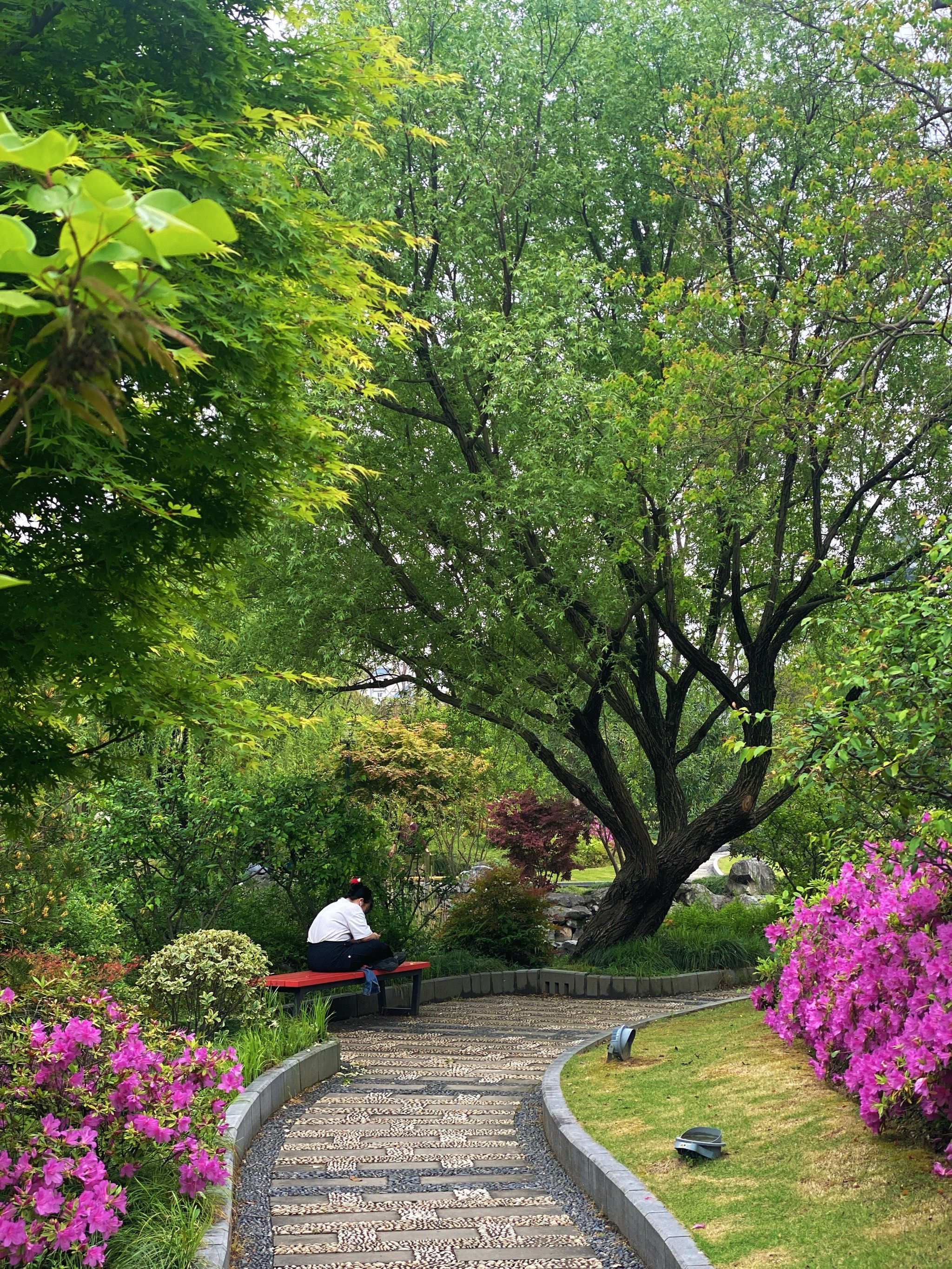 溪公园
免费🆓入园
最喜欢里面的一个湖
湖里有几条很肥的