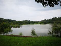 -福建鲤鱼洲酒店