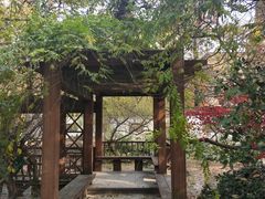 -印象江南(东栅店)