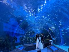 -海合安成都极地海洋公园
