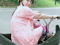 -圣淘沙天际线斜坡滑车