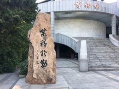 -中国人民大学-博物馆
