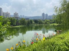-沐仙湖湿地公园