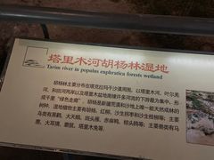-中国湿地博物馆