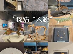 -北京周口店北京人遗址博物馆
