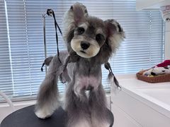 -帕帕拉兹宠物(亚洲旗舰店)