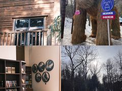 -洛阳白云山景区