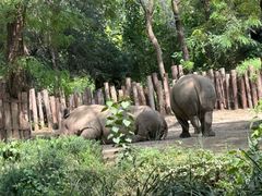 -北京野生动物园