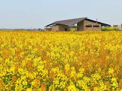 -三圣花乡旅游区