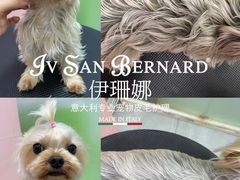 -听雨小筑茶舍(观音桥·龙湖新壹街店)