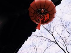 -檀园