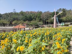 -广州莲花山旅游区