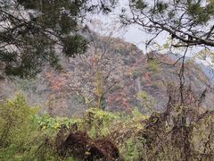 -秦岭终南山世界地质公园翠华山景区
