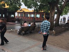 -西湖游船