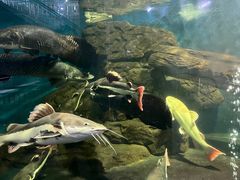 -泉州海丝野生动物世界