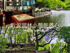 -荷兰花海