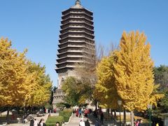 -玲珑塔公园