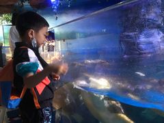 -烟台海昌鲸鲨海洋公园