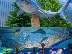 -烟台海昌鲸鲨海洋公园