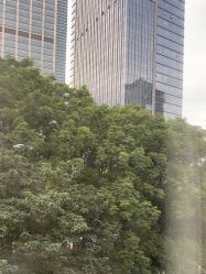 -上海首尔丽格医疗美容医院