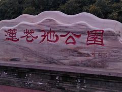 -莲花池公园
