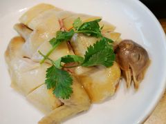 白切鸡-好彩猪肚鸡(正弘城店)