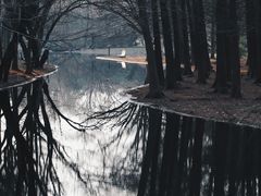 -上海共青森林公园