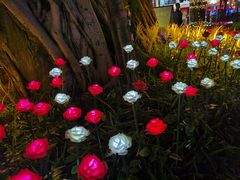 -玫瑰园餐厅