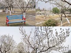 -国际非物质文化遗产博览园