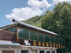 -天天向上素食餐厅(五台山店)