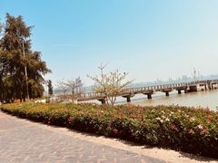 -深圳湾公园(南山区)