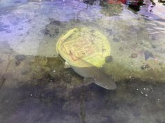 -鸿通城购物中心