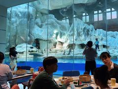 -帝企鹅自助餐厅•儿童岛•真企鹅(长隆企鹅酒店)