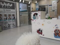 -谐和益家动物医院·免疫绝育·血液透析·宠保定点医院(高新伊藤分院)