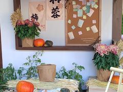 -杭州植物园