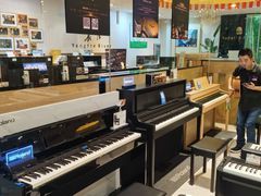 -柏斯琴行(汾阳店)